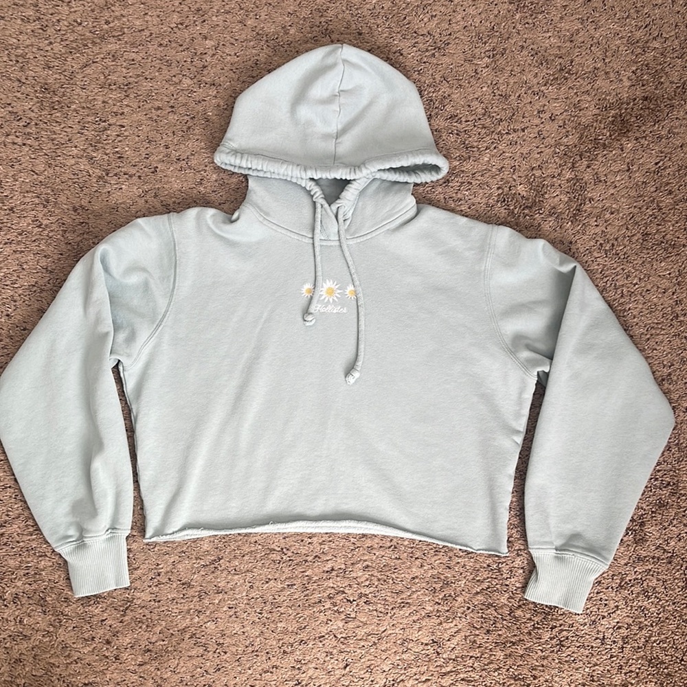 Hollister Women’s Daisy Embroidered Crop Oversized Hoodie Size XS